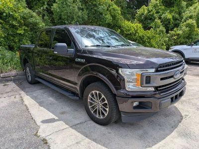 2019 Ford F-150 - Photo 2