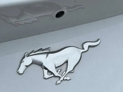 2025 Ford Mustang - Photo 9