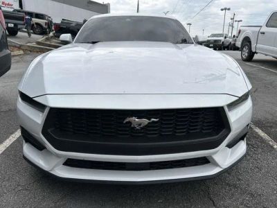 2025 Ford Mustang - Photo 10