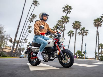 2025 Honda Monkey ABS - Photo 30
