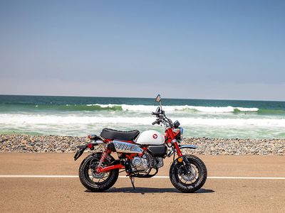 2025 Honda Monkey ABS - Photo 25
