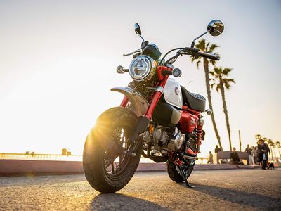 2025 Honda Monkey ABS - Photo 29