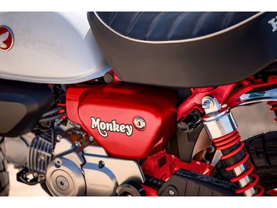 2025 Honda Monkey ABS - Photo 21