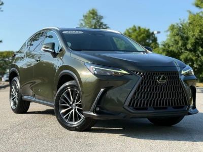 2023 Lexus NX - Photo 2