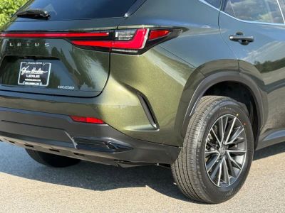2023 Lexus NX - Photo 13