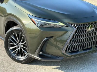 2023 Lexus NX - Photo 4
