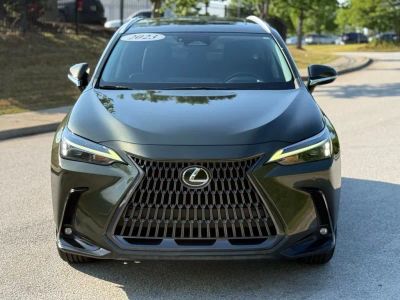 2023 Lexus NX - Photo 6