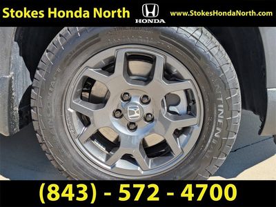 2025 Honda Pilot - Photo 11