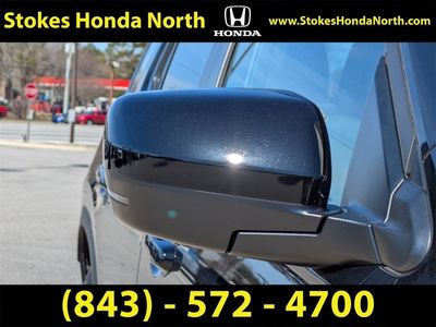 2025 Honda Pilot - Photo 12