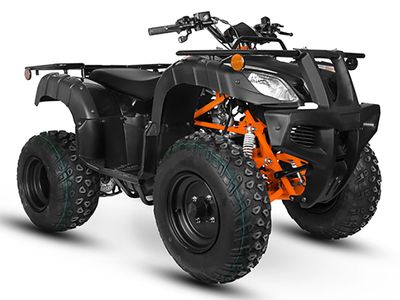 2024 Kayo Bull 150 - Photo 4