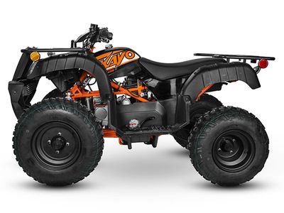 2024 Kayo Bull 150 - Photo 3