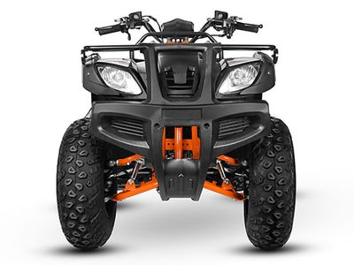 2024 Kayo Bull 150 - Photo 6