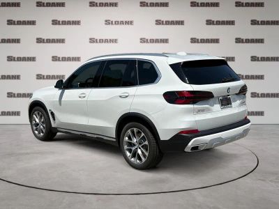 2026 BMW X5 — rear three-quarter view