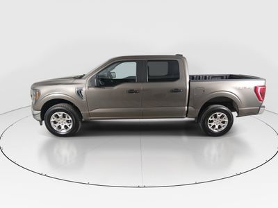 2023 Ford F-150 — interior view