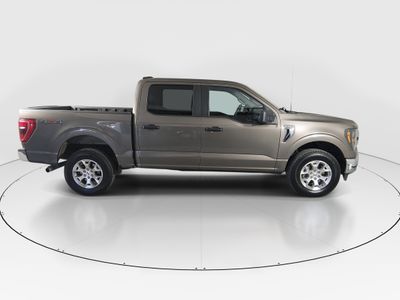 2023 Ford F-150 — photo 8 view