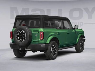2025 Ford Bronco - Photo 11