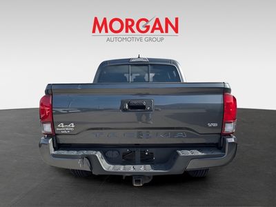 2019 Toyota Tacoma - Photo 4