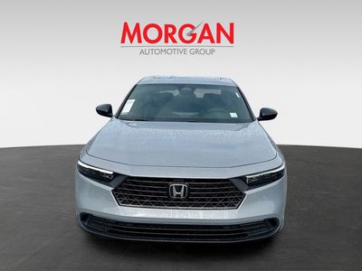 2026 Honda Accord Hybrid — side profile view