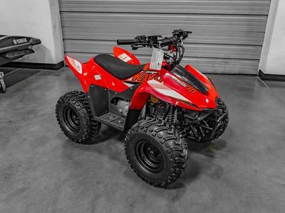 2025 Kayo Fox / Storm 70 - Photo 2