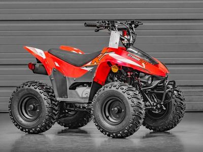2025 Kayo Fox / Storm 70 - Photo 1