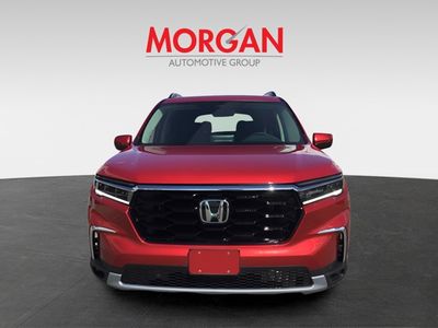 2025 Honda Pilot - Photo 8