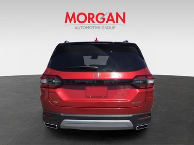 2025 Honda Pilot - Photo 5