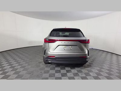 2024 Lexus NX - Photo 42
