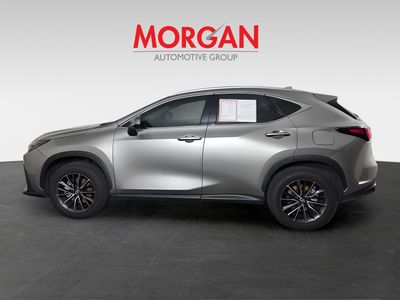 2024 Lexus NX - Photo 9