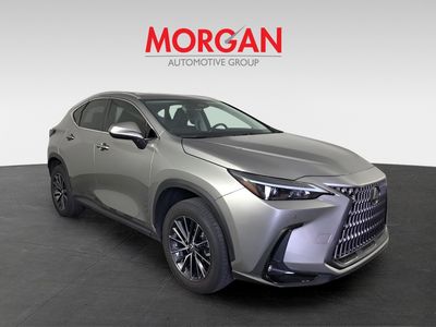 2024 Lexus NX - Photo 2