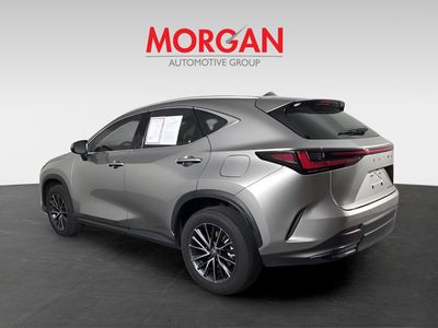 2024 Lexus NX - Photo 8