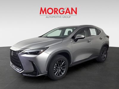 2024 Lexus NX - Photo 4