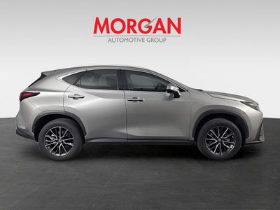 2024 Lexus NX - Photo 5