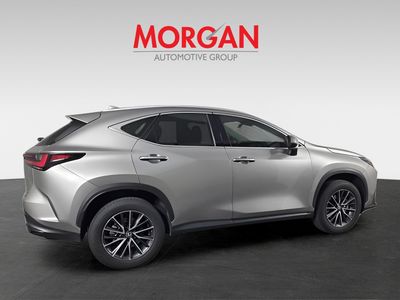 2024 Lexus NX - Photo 6