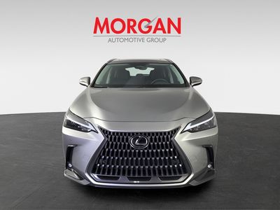 2024 Lexus NX - Photo 3