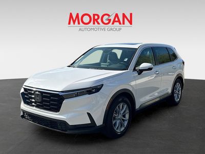 2024 Honda CR-V - Photo 3