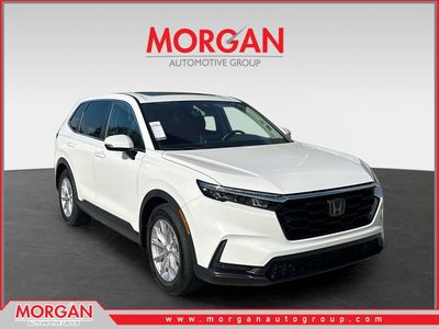 2024 Honda CR-V - Photo 1