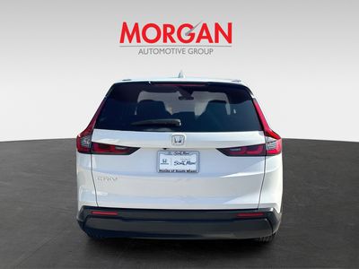 2024 Honda CR-V - Photo 6
