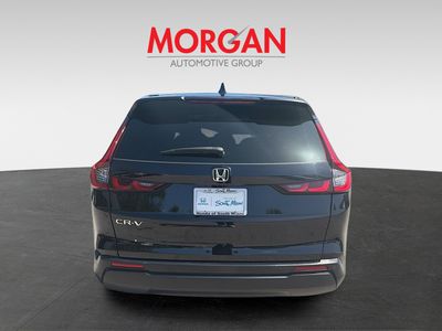2023 Honda CR-V - Photo 6