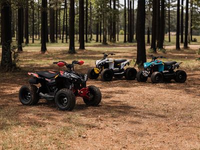 2026 Can-Am Renegade 110 EFI - Photo 6