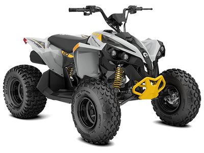 2026 Can-Am Renegade 110 EFI - Photo 1