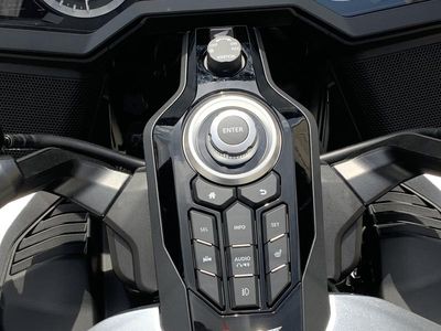 2025 Honda Gold Wing Tour Automatic DCT - Photo 13