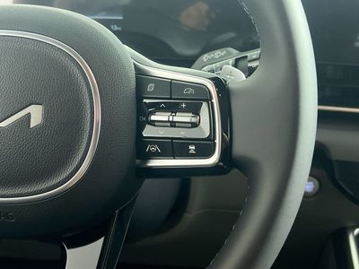 2026 Kia Carnival Hybrid - Photo 19