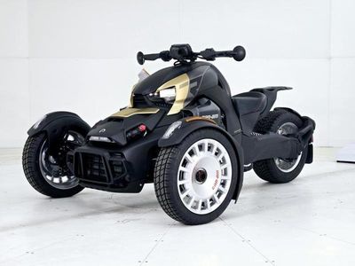 2025 Can-Am Ryker Rally - Photo 2