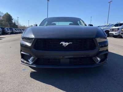 2026 Ford Mustang — photo 8 view
