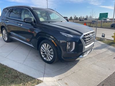 2020 Hyundai Palisade - Photo 2