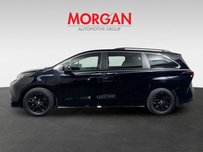 2025 Toyota Sienna - Photo 6