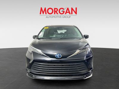 2025 Toyota Sienna - Photo 8