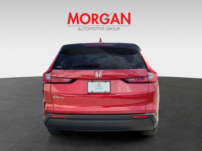 2024 Honda CR-V - Photo 4