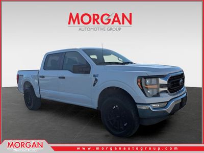 2023 Ford F-150 XLT in White — front three-quarter view
