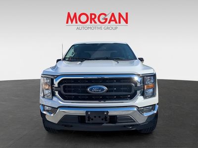 2023 Ford F-150 — photo 7 view